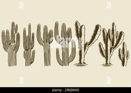 Cactus and succulent hand drawn set. Different cactuses engraving old vintage design element. Exotic houseplant concept. Vector cute house interior pl Stock Vector