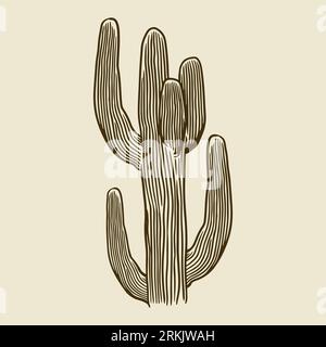 Vintage engraved hand drawn dry tropical thorny cactus vector isolated. Houseplant concept for home wall decor ornament, poster or fabric textile. Ske Stock Vector