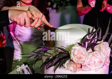 A newly married couple excitedly cutting their wedding cake Stock Photo