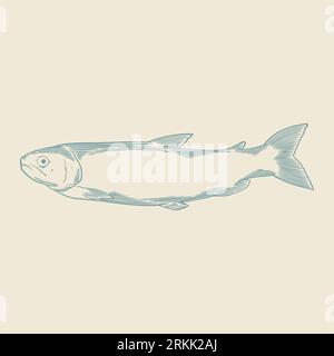 Hand drawn of salmon fish. Cool blue salmon fish isolated on white background. Stock Vector