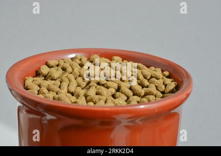 Pet food, special food for pet rodents, transmitting food care and well-being to your furry friend. Nutritious and balanced food for pet rodents, prov Stock Photo