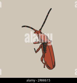Hand drawn vintage engraving of insect animal hand drawn sketch on white background. Creative template design for t-shirt print, tattoo, poster, logo Stock Vector