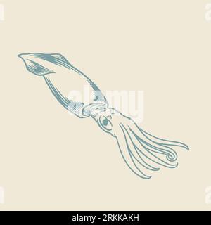 Hand drawn of blue octopus. Cute jellyfish sketch isolated on white background. Stock Vector