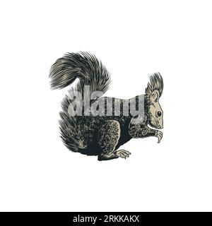 Squirrel sketch engraving vector illustration. Antique engraved hand drawing of eastern squirrel isolated on white background. Cute forest animal conc Stock Vector