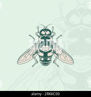 Honey bee Hand drawn engraving vintage style white background. Suitable for Creative Industry, Multimedia, entertainment, Educations, Shop, and any re Stock Vector