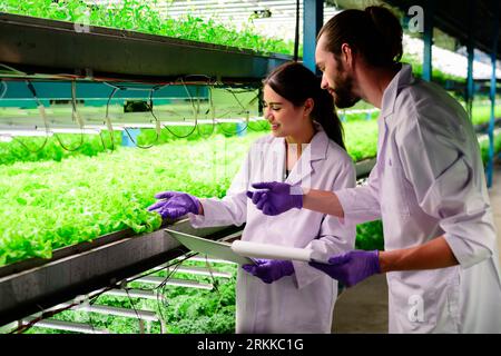 Scientists team working and researching in hydro and organic farm Stock Photo