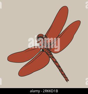 Dragonfly hand drawn graphic vintage engraving illustration. Concept design for logo, card, banner, poster, tattoo. Flying insect handmade decorative Stock Vector