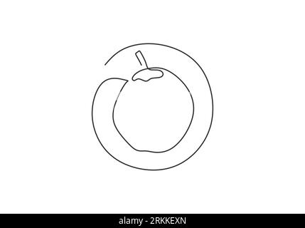 One continuous line drawing whole and sliced healthy organic coconut. Fresh fruitage concept for fruit garden icon. Healthy summer drink. Vector isola Stock Vector