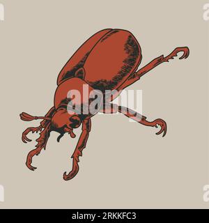 Hand drawing beetle flowers. Decorative flying insect vintage engraving style. Can be used for for postcard, t-shirt, tattoo, fabric bag, poster or ot Stock Vector