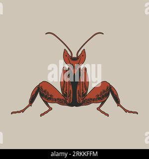 Antique engraving drawing illustration of mantis or stick mantis isolated on white background. Vector hand drawn image of insect vintage art sketch. D Stock Vector