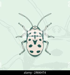 Hand drawn of ladybug Sketch Symbol. Vector Ladybird Element In Trendy vintage Style. Stock Vector