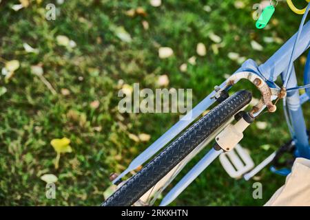 detail of front wheel and brake with dynamo of vintage bicycle on grass background. Stock Photo