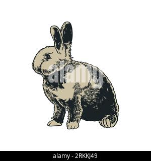 Wild hares hand drawn vintage engraved old sketch. Rabbits are sitting isolated on white background. Vector forest bunny or coney illustration for t-s Stock Vector