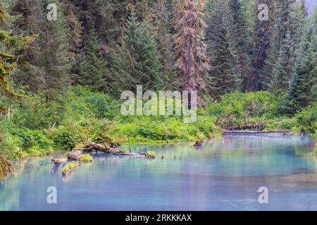 Lagoon in the mist by Fish Creek, Tongass national forest, Alaska, USA. Stock Photo