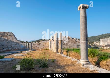 Patara Ancient Ruins with columns in Kas Antalya TURKEY summer sunny (old capital of Lycian civilization) Stock Photo