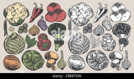 Vegetable hand drawn vintage collection colorful hand drawn Illustration vector image set of vegetables. Stock Vector