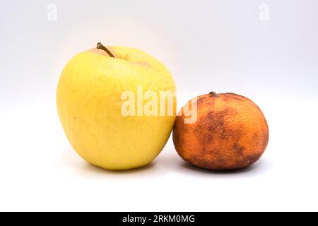spoiled and rotten fruits, apple and tangerine Stock Photo