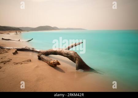 Long exposure shot near sea fallen tree on the sand beach turquoise blue water Stock Photo