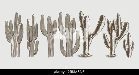 Cactus collection isolated on grey background in hand drawn style. Set of wild cacti in sketch style. Succulent desert plants. engraving vintage. Stock Vector