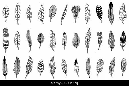 Set of ethnic hand drawn feather isolated on white background. Stock Vector