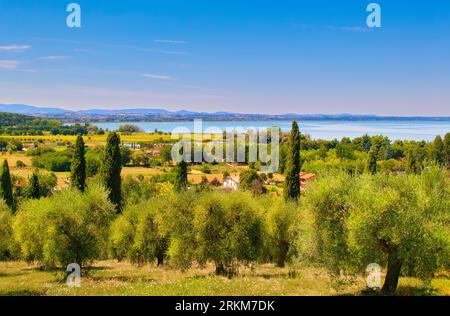 Lake Trasimeno, Umbria, Italy. View of Lake Trasimeno from a hill with olive trees. Stock Photo