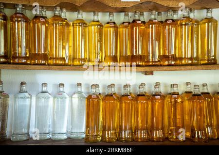 Closeup of bottles of cachaca, distilled alcoholic rum drink made from sugar cane used in the caipirinha drink. Known in Brazil as pinga, cana, cachaç Stock Photo