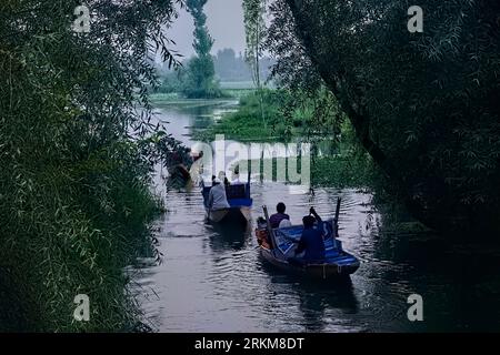 Shikara tour on the waterways of Dal Lake, Srinagar, Kashmir, India Stock Photo