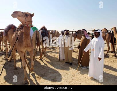 Bildnummer: 56751523  Datum: 17.12.2011  Copyright: imago/Xinhua (111217) -- ABU DHABI, Dec. 17, 2011 (Xinhua) -- Camels taking part in the beauty contest are seen in the desert near Zayed City, the United Arab Emirates, Dec. 17, 2011. Some 20,000 camels from the UAE, Saudi Arabia and other Arab countries competed in a traditional beauty contest during the fifth Al Dhafra Camel Festival opening here on Saturday. (Xinhua) UAE-AL DHAFRA CAMEL FESTIVAL PUBLICATIONxNOTxINxCHN Gesellschaft Land Leute Kamel Tiere Schönheitswettbewerb xns x0x 2011 quer      56751523 Date 17 12 2011 Copyright Imago XI Stock Photo