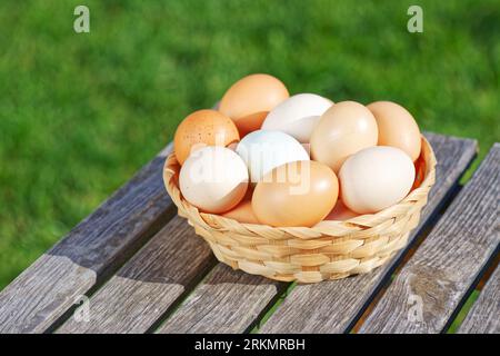 Chicken eggs on the background of green grass Stock Photo