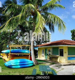 Florida Kyak Rental Summer Day Stock Photo