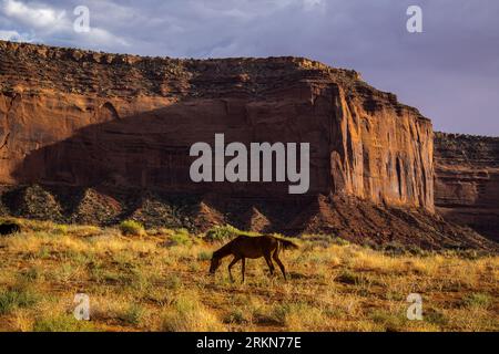 Tribal Park entrance, Monument Valley Arizona Stock Photo