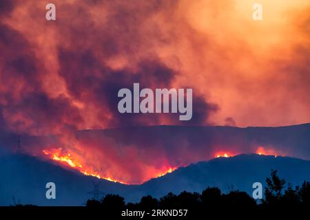 Alexandroupoli - Greece, August 21, 2023 Forest fires in the prefecture of Evros in northern Greece in the biggest fire ever in Europe Stock Photo