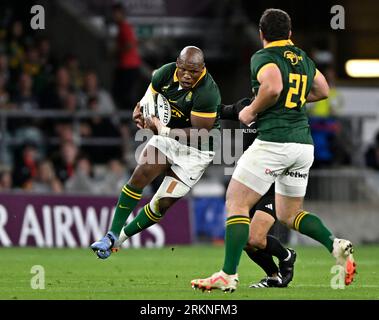 Twickenham, United Kingdom. 25th Aug, 2023. New Zealand V South Africa 2023 Rugby World Cup warm up match for the Qatar Airways Cup. Twickenham Stadium. Twickenham. Bongi Mbonambi (South Africa) catches during the New Zealand V South Africa 2023 Rugby World Cup warm up match for the Qatar Airways Cup. Credit: Sport In Pictures/Alamy Live News Stock Photo