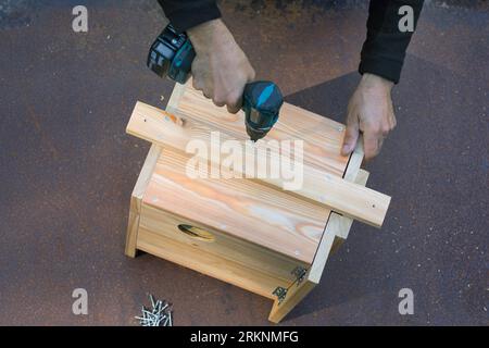 European red squirrel, Eurasian red squirrel (Sciurus vulgaris), build your own squirrel nesting box. Step 12: Attach the hanging strip to the back Stock Photo