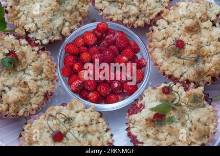 selfmade wild strawberry crumbles Stock Photo