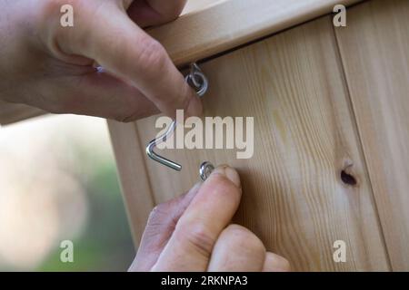 European red squirrel, Eurasian red squirrel (Sciurus vulgaris), build your own squirrel nesting box. Step 11: Fix the hook opposite the hinges Stock Photo