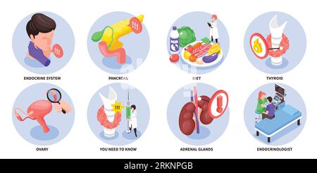 Isometric and colored endocrinologist composition set endocrine system pancreas diet thyroid ovary descriptions vector illustration Stock Vector