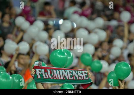 Rio Janeiro Brazil August 2023 Match Fluminense Olimpia Libertadores 2023 –  Stock Editorial Photo © A.Paes #673275928