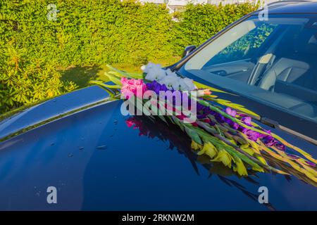 Close up view of colorful gladioluses on hood of black car. Stock Photo