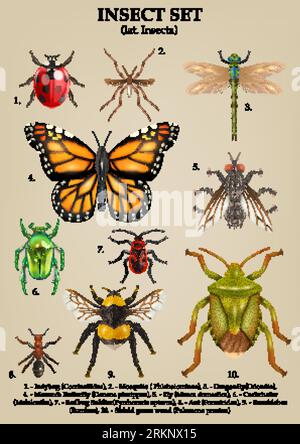 Realistic insects composition of text captions and set of isolated butterflies bugs dragonflies and mosquitoes images vector illustration Stock Vector