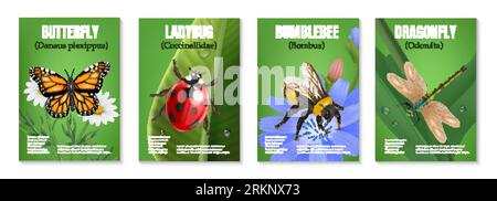 Realistic insect set of four vertical posters with text and images of butterfly ladybug bumblebee dragonfly vector illustration Stock Vector