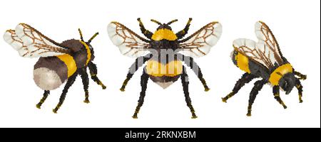 Realistic insect bee set with isolated images of bees with wings different angles on blank background vector illustration Stock Vector