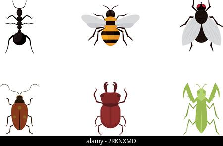 Set of different colored insect icons Vector Stock Vector