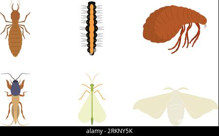 Set of different colored insect icons Vector Stock Vector