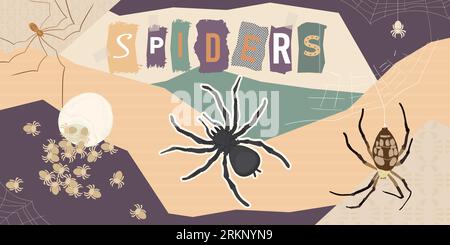 Spider insect composition with collage of flat icons with maggots bugs and their net with letters vector illustration Stock Vector