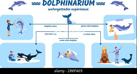 Dolphinarium flat infographic with dolphin and sea lion show photos orca feeding swimming with animals vector illustration Stock Vector