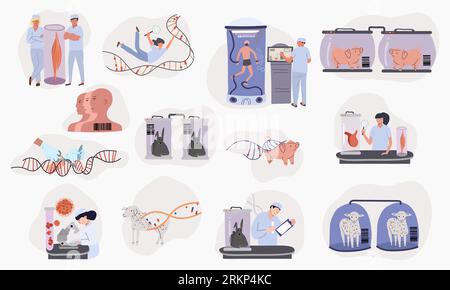 Cloning genetics flat set of isolated compositions with chambers floating animals and cloned people with scientists vector illustration Stock Vector