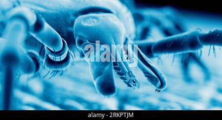 Tick on human skin, illustration. Stock Photo