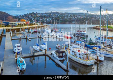 Launceston in Tasmania, Australia, with the Seaport Marina on the North Esk River seen in the foreground, looking towards the Tamar River and the resi Stock Photo