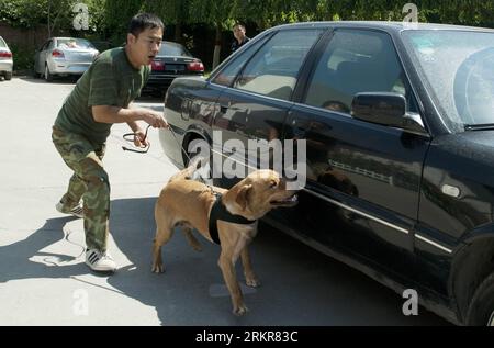 Sniffing for drugs hi-res stock photography and images - Alamy